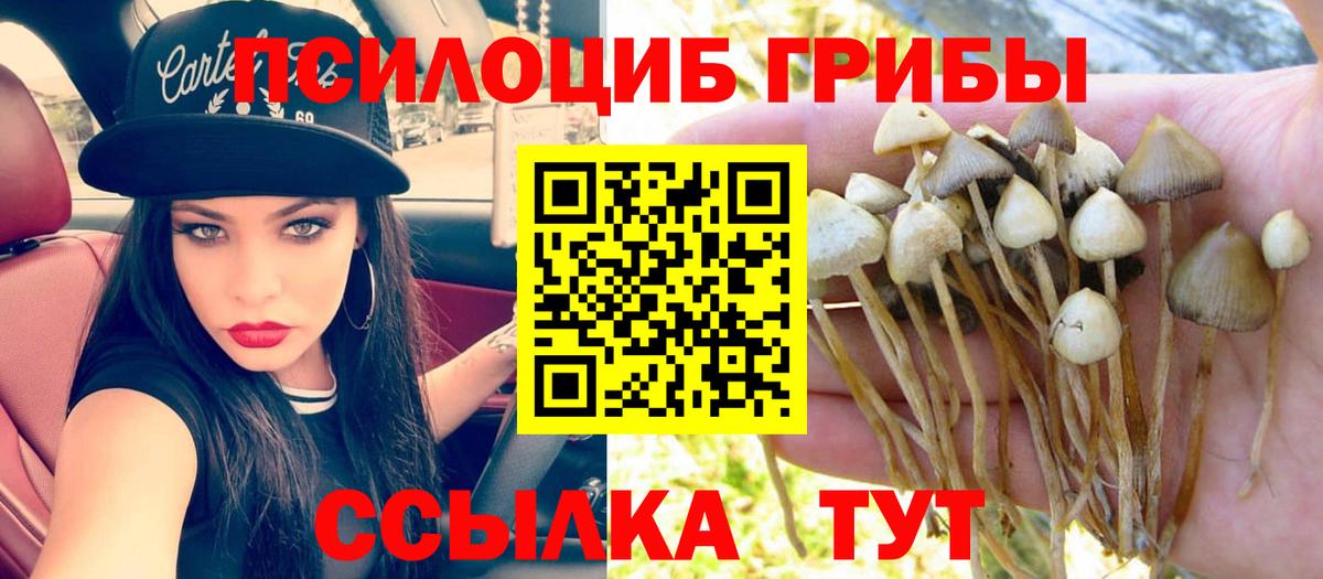 Псилоцибиновые грибы прущие грибы Кашира