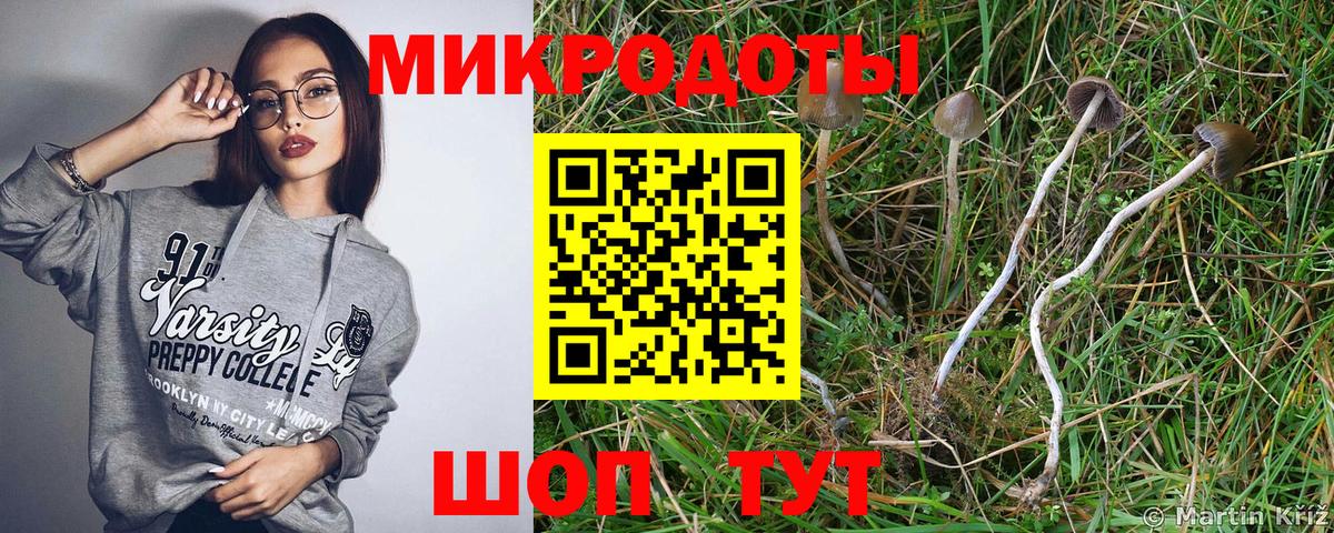 Галлюциногенные грибы MAGIC MUSHROOMS  Вход с VPN  Кашира 